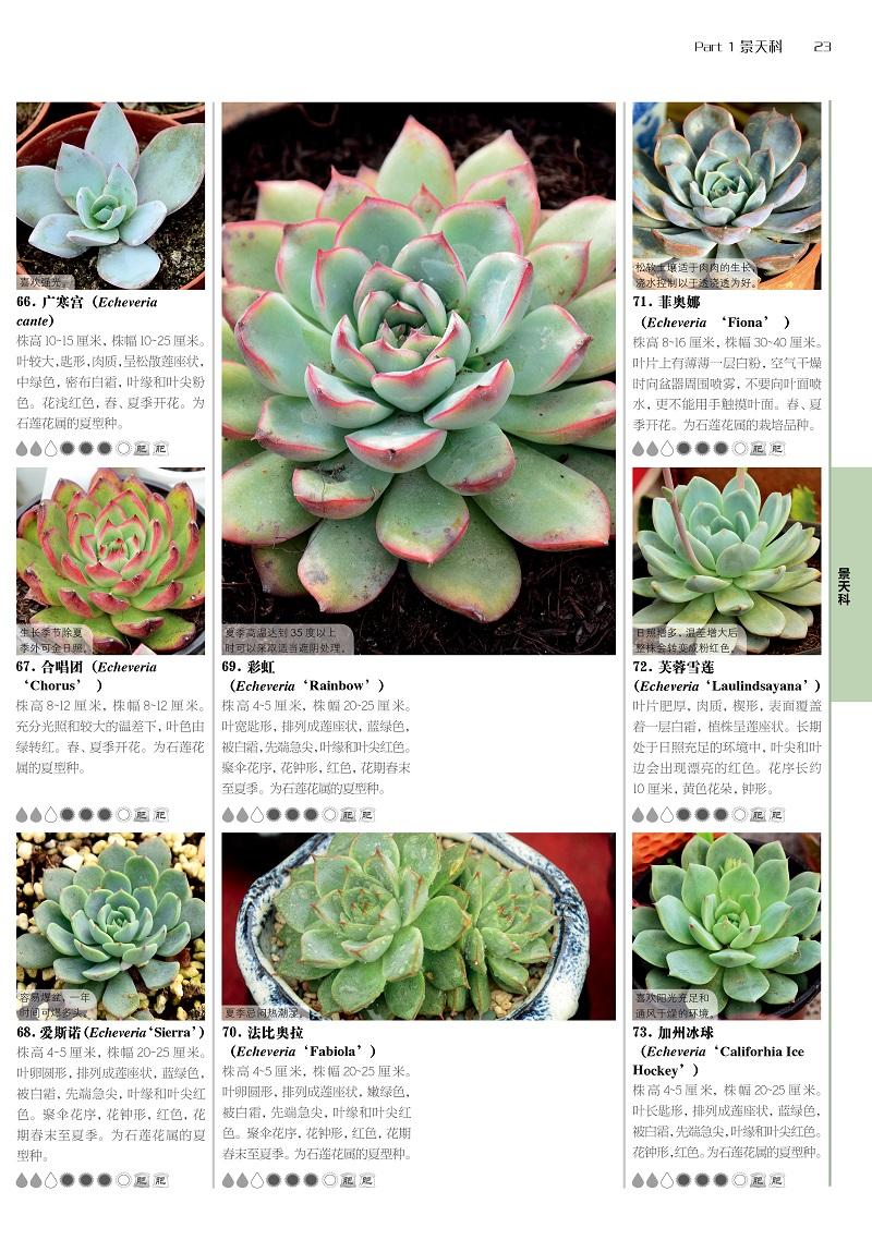 1200种多肉植物图鉴