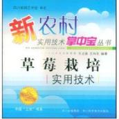 草莓栽培实用技术/新农村实用技术掌中宝