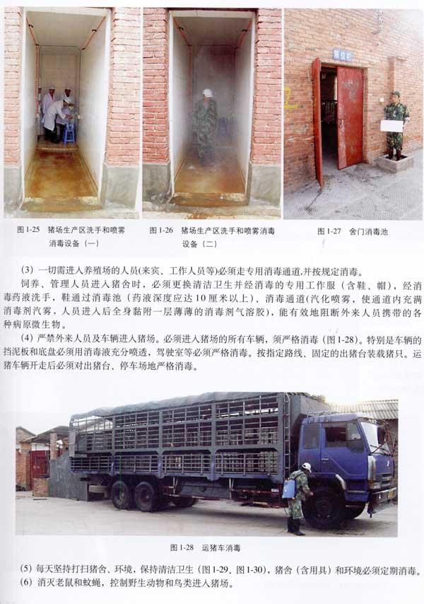原色养猪与猪病v原色农民图谱-徐有生-死神实用表情vs火影科学包图片