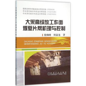 大采高综放工作面煤壁片帮机理与控制