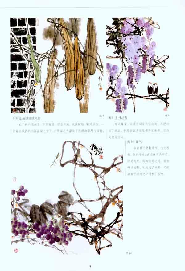 藤本花卉课徒范本 韩玮 艺术 书籍