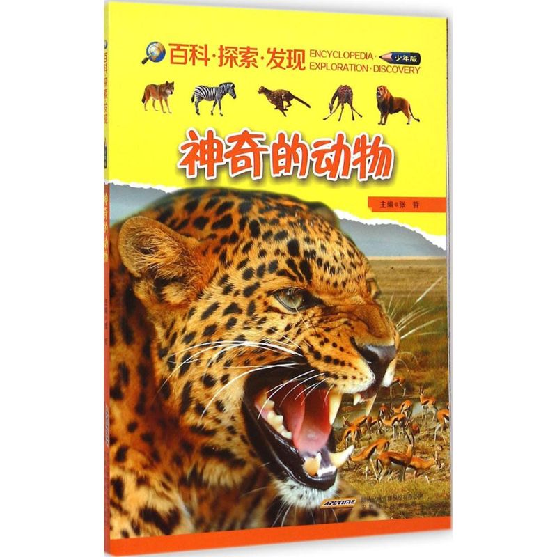 猎豹的体型比其他豹略小,头部有点儿像猫,四肢像狗,连特性也有点儿像狗:会蹲着坐,容易驯服,忠于主人。千百年来,人们一得到猎豹幼崽就当宠物来饲养。 猎豹是目前陆地上奔跑速度*快的动物,时速可以达到120千米。但是猎豹只擅长短跑,在长距离奔跑时,它的速度就慢多了,平均每小时约为60千米,相当于非洲鸵鸟的速度。 猎豹的爪子在幼年时是可以接近收缩的,但成年后就收不回来了,会变得和狗爪一样钝。这种定型带来了另外的好处,那就是猎豹在高速奔跑时,爪子能紧紧抓住地面,就像短跑运动员的钉鞋。 猎豹嗅觉十分发达,只要闻一下就