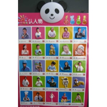 阳光宝贝有声挂图:认人物