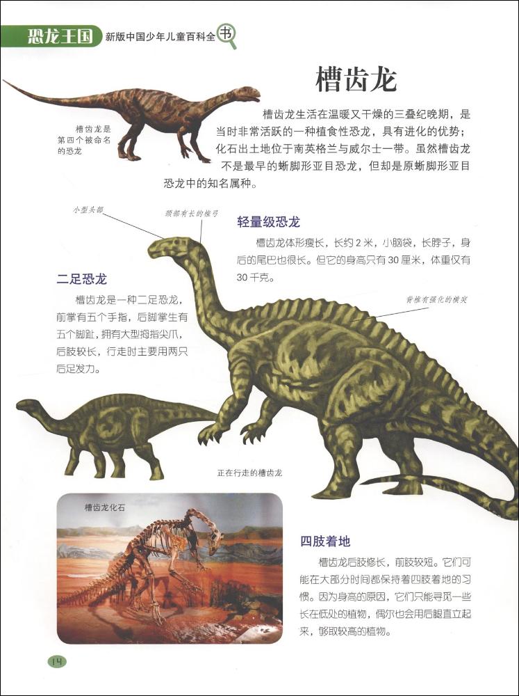 少儿 立体书 目录 三叠纪  始盗龙  板龙  槽齿龙  腔骨龙  理理恩龙