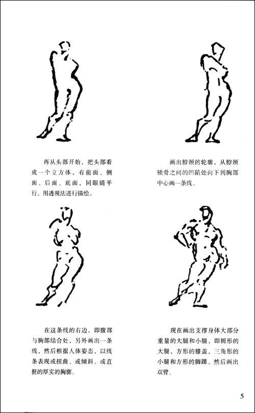伯里曼人体结构绘画教学-(美)乔治·伯里曼-艺
