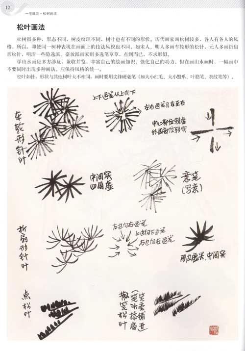 杂草画法 三松鼎立画法 临摹芥子园三松图 松树的写生 碧云寺松树写生