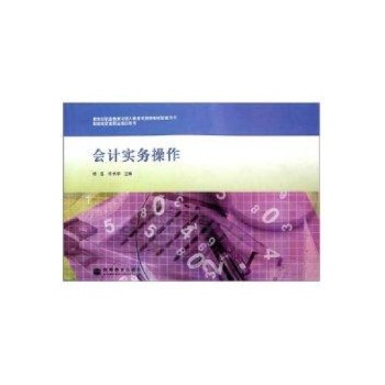 会计实务操作(配盘)/杨蕊 许长华 