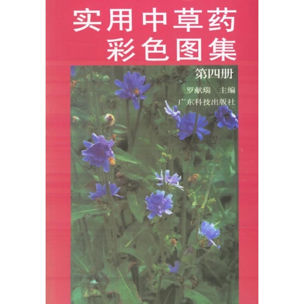 枝和树皮类 川桐皮