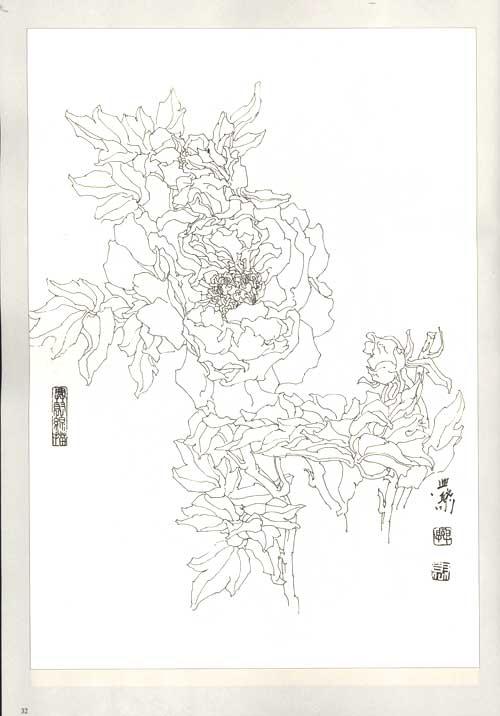 白描花卉:牡丹2