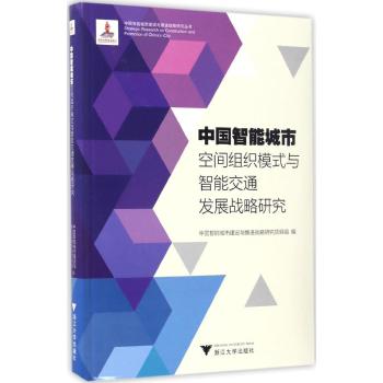 中国智能城市空间组织模式与智能交通发展战略研究 中国智能城市建设与推进战略研究