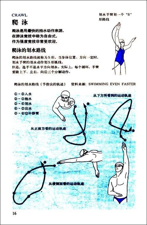 www.fz173.com_自由泳技术图解。
