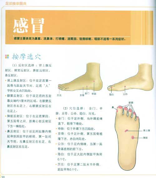足部按摩图典