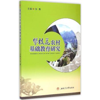 攀枝花农村基础教育研究