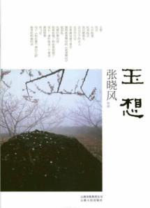 张晓风作品:玉想*(最成熟的深思，在安静分析中有激情，在冷眼凝视中有挚爱）