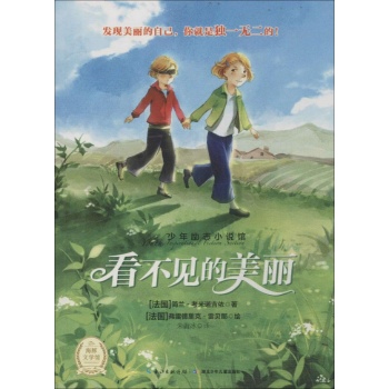 少年励志小说馆•看不见的美丽