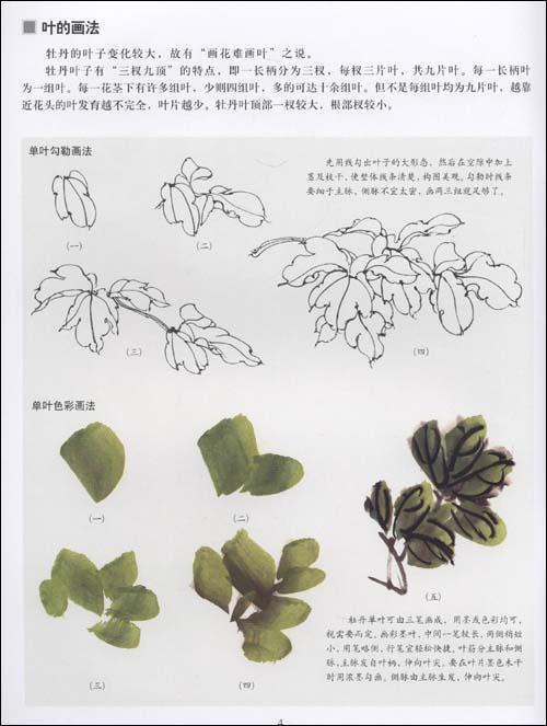 国画牡丹叶子画法视频,牡丹叶子的画法,叶子 花的画法,叶子高清图片