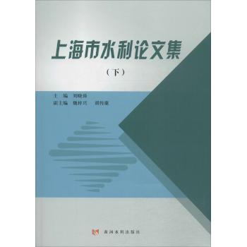 上海市水利论文集(下)