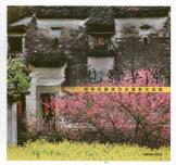 魅影婺源 免运费