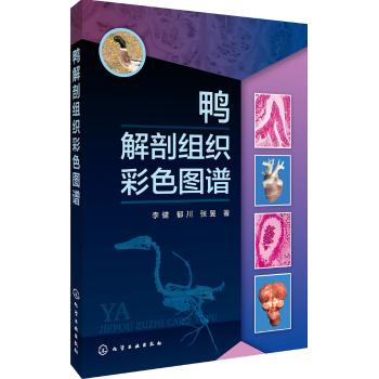 鸭解剖组织彩色图谱