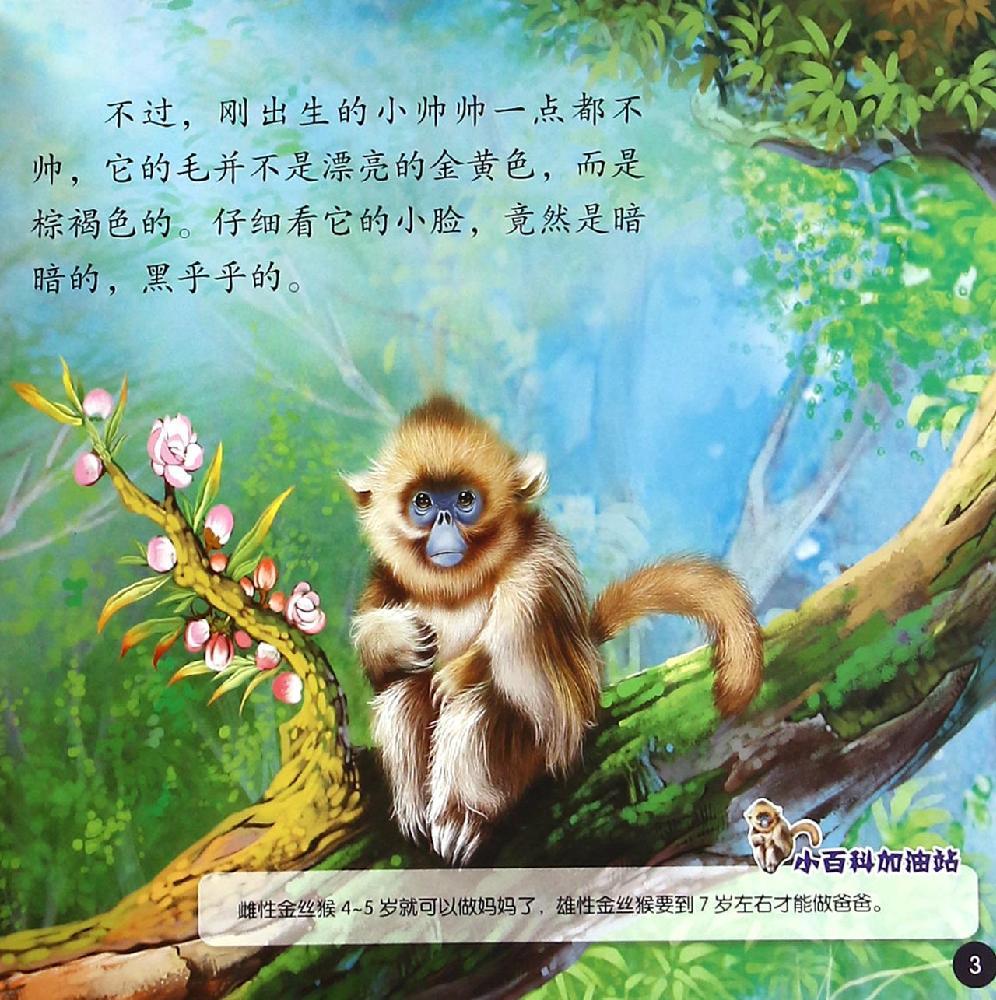 童书 少儿科普(6岁以上)  目录 《小帅哥金丝猴》无目录 读者对象 学