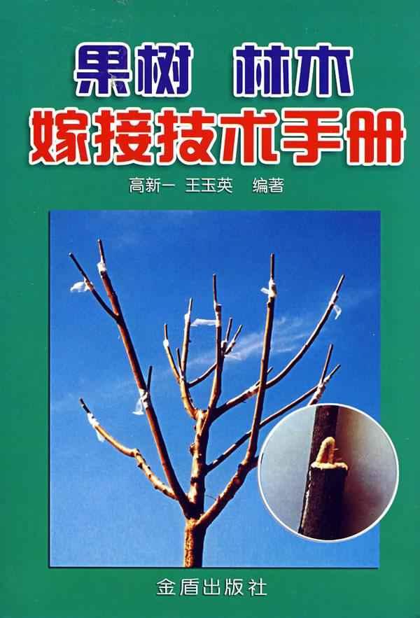 芒果嫁接技术,果树嫁接技术图解,果树嫁接技术_点力 ...