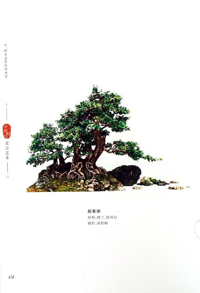 中国树石盆景艺术(第2版)\/出版社:安徽科学技术