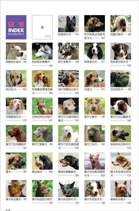 名犬图鉴:世界331种名犬驯养与