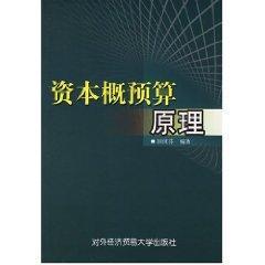 资本概预算原理