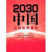 2030中国:迈向共同富裕