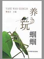 养玩蝈蝈