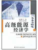 高级能源经济学 免运费