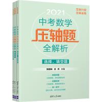 中考数学压轴题全解析 2021(全3册)