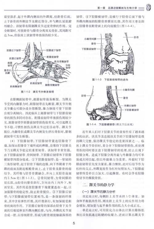 中华骨科学-足踝外科,中医外科学,图书