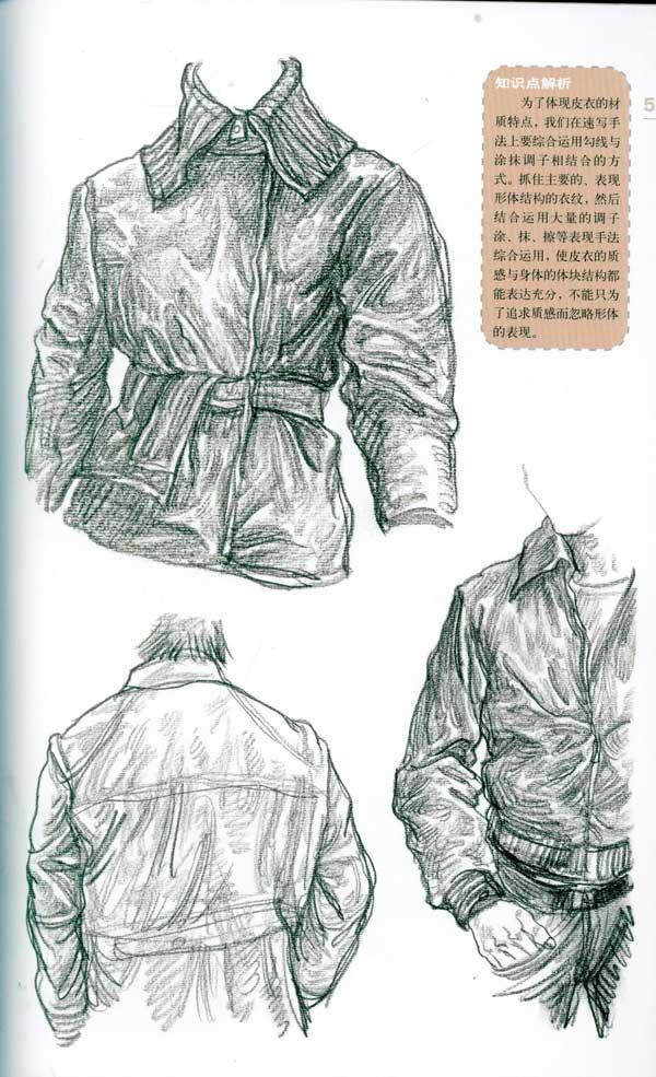 目录 范画欣赏 的 正/侧面骨骼图 人