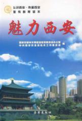 魅力西安
