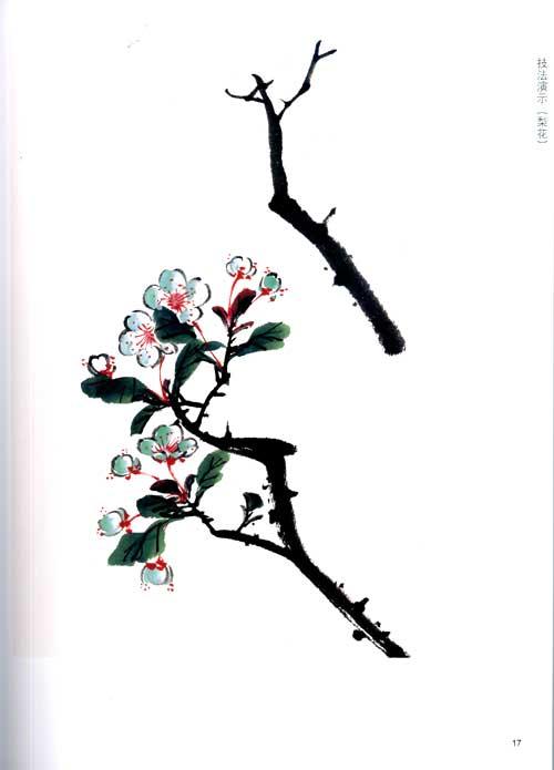 中国画教程/花卉