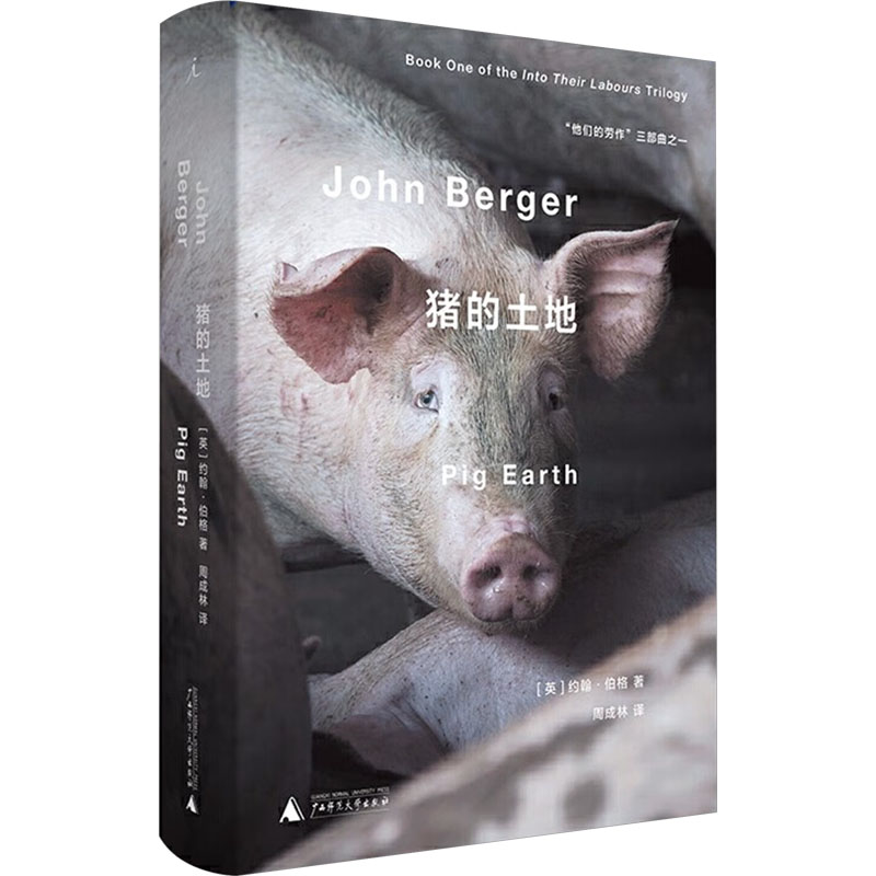  猪的土地 