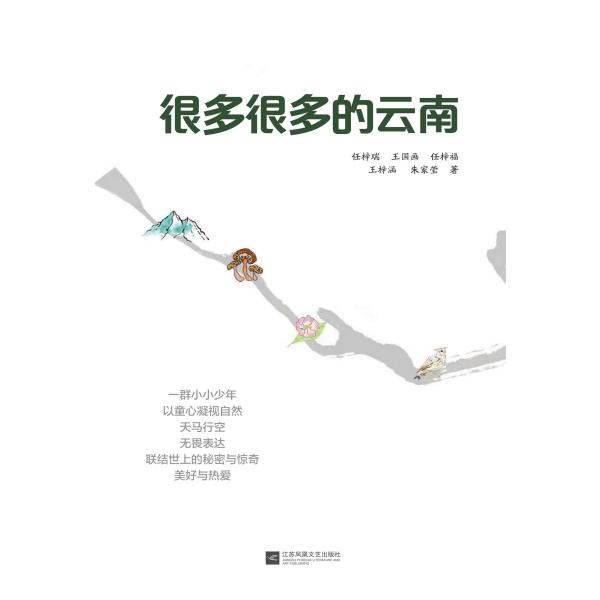 很多很多的云南