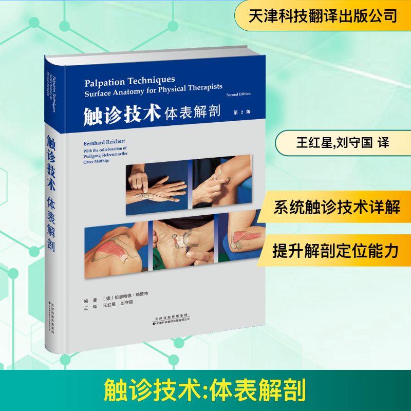  触诊技术 体表解剖 第2版 