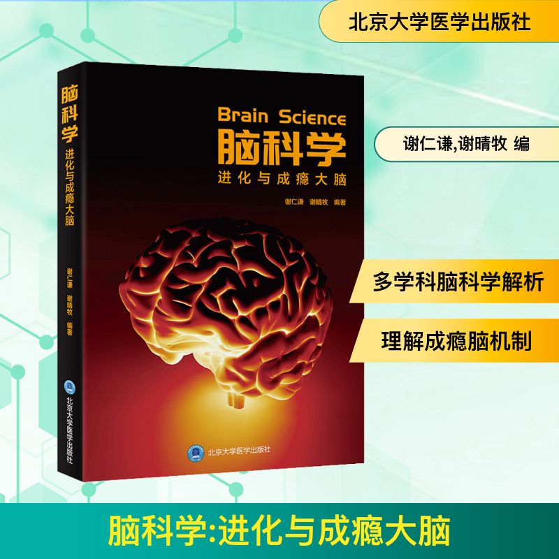  脑科学 进化与成瘾大脑 详细介绍进化过程中大脑结构功能及心理、认知行为学相关知识 