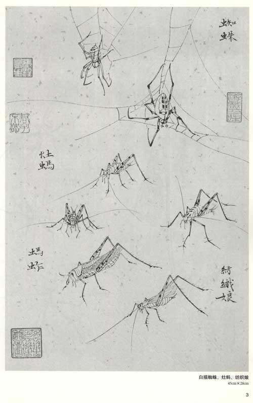 名家白描教学:草虫白描画稿