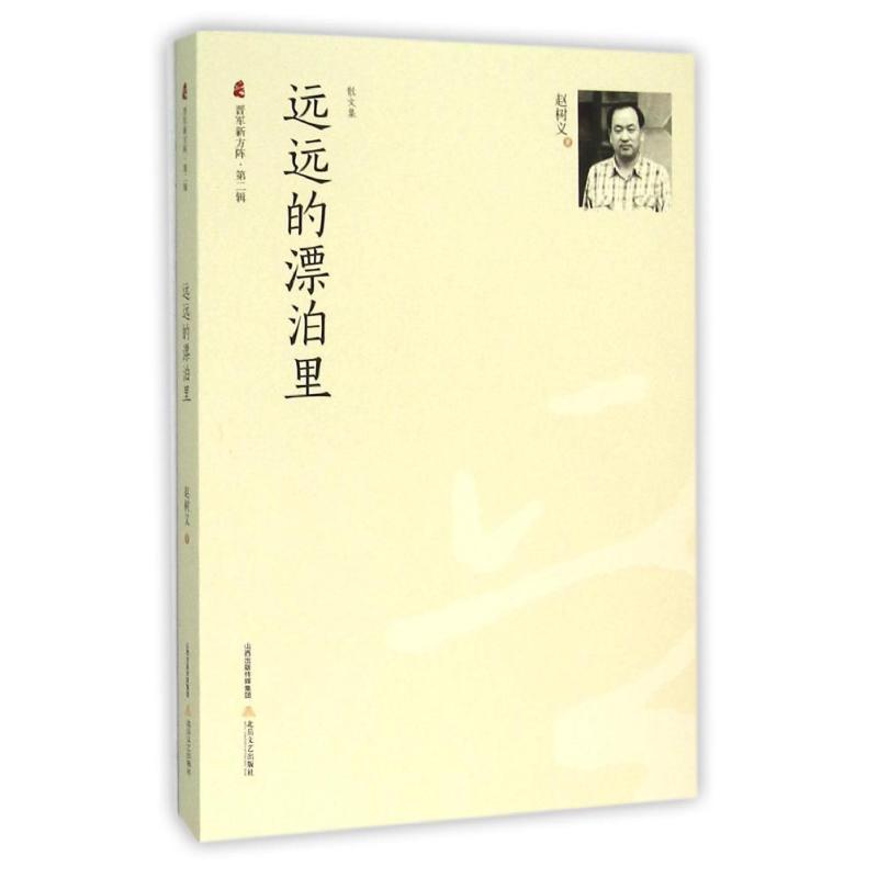 远远的漂泊里/晋军新方阵第2辑 