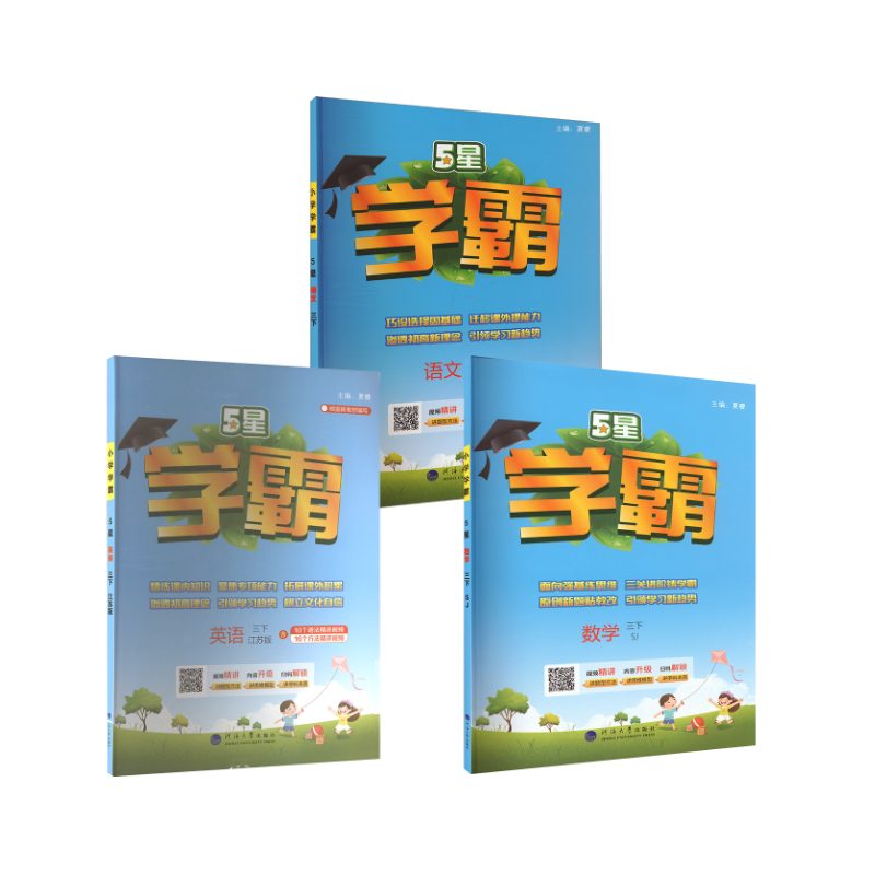  5星 数学 三下 SJ 