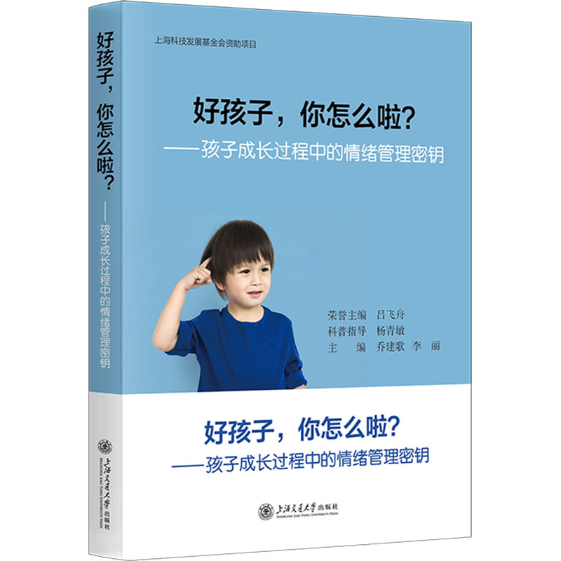  好孩子,你怎么啦?——孩子成长过程中的情绪管理密钥 