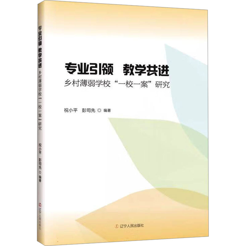  专业引领 教学共进 乡村薄弱学校"一校一案"研究 