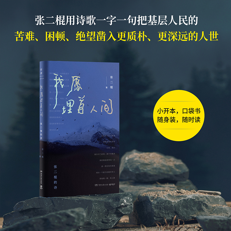 我愿埋首人间 张二棍的诗