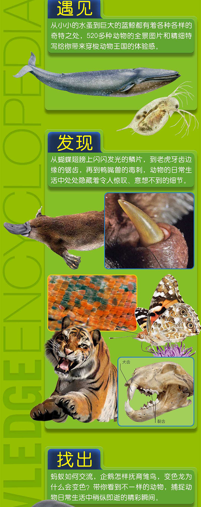 dk动物知识大百科