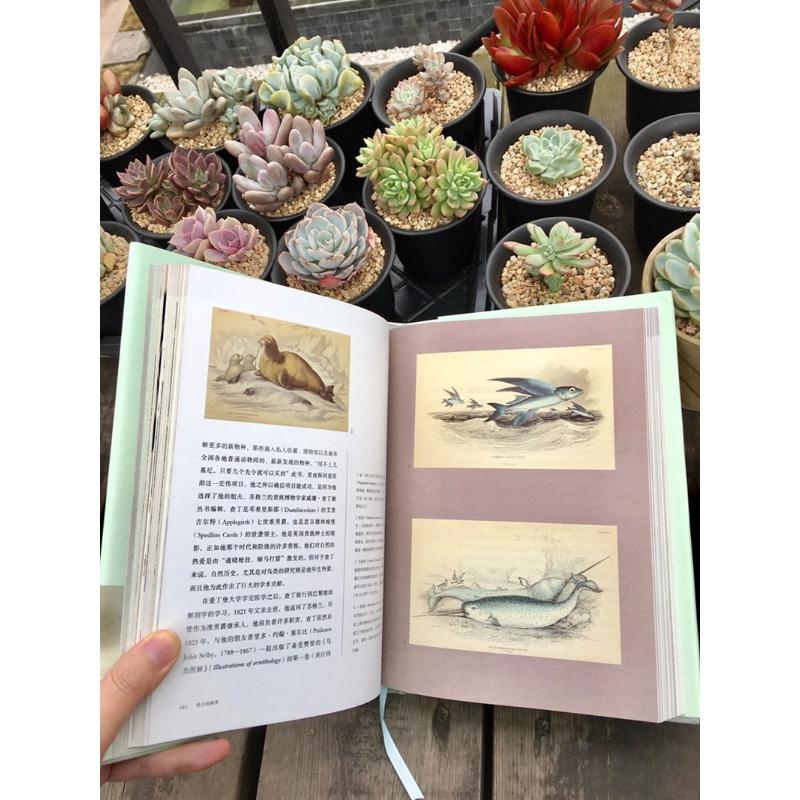  伟大的海洋 （随书赠送精美书签）：美国自然历史博物馆馆藏书系，为您呈现海洋的伟大与美丽 