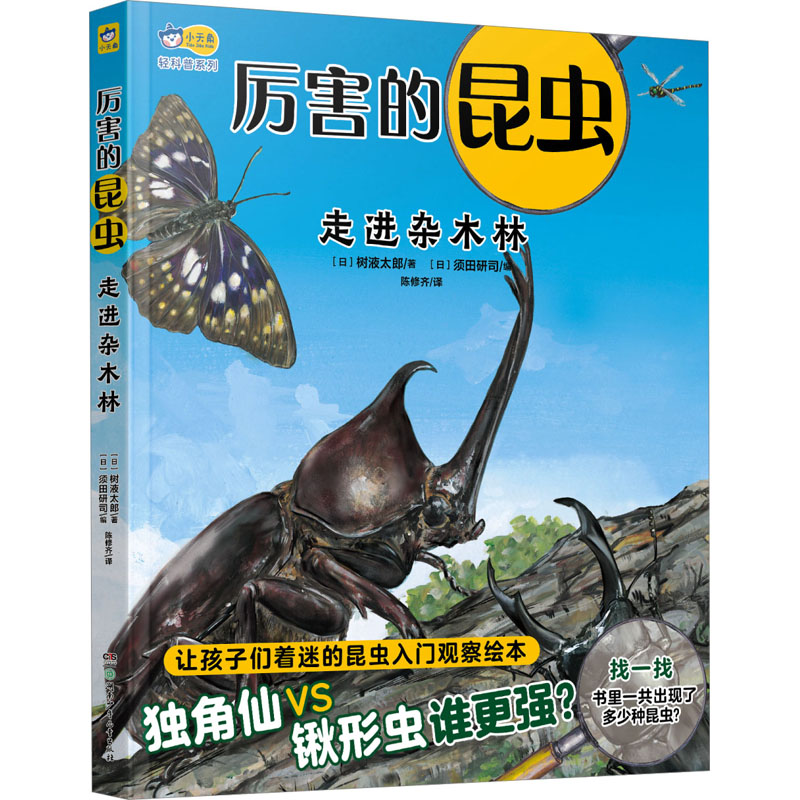  厉害的昆虫 走进杂木林 