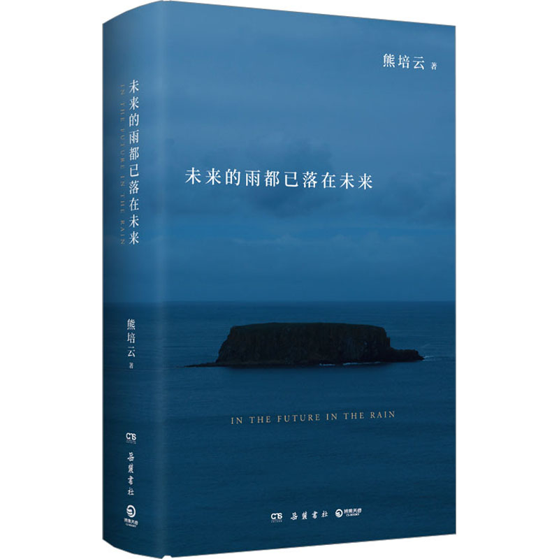  未来的雨都已落在未来 
